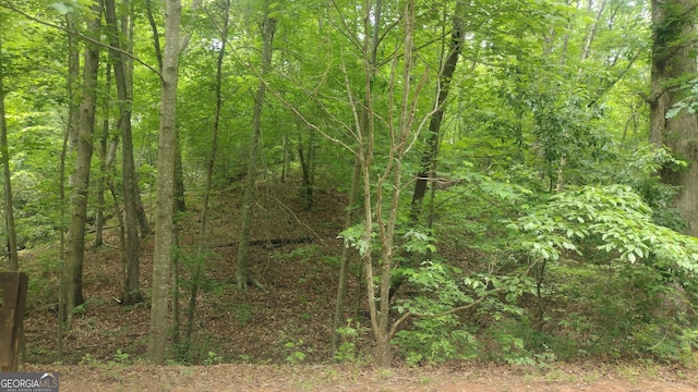 0 Pebble Creek Ln # 9, Alto, GA 30510