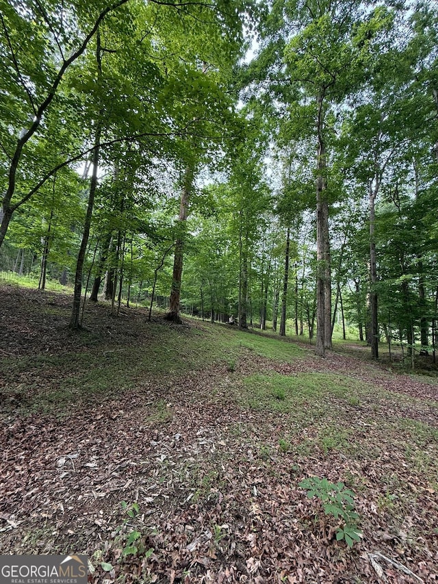 LOT5 Purvis Rd, Baldwin, GA 30511