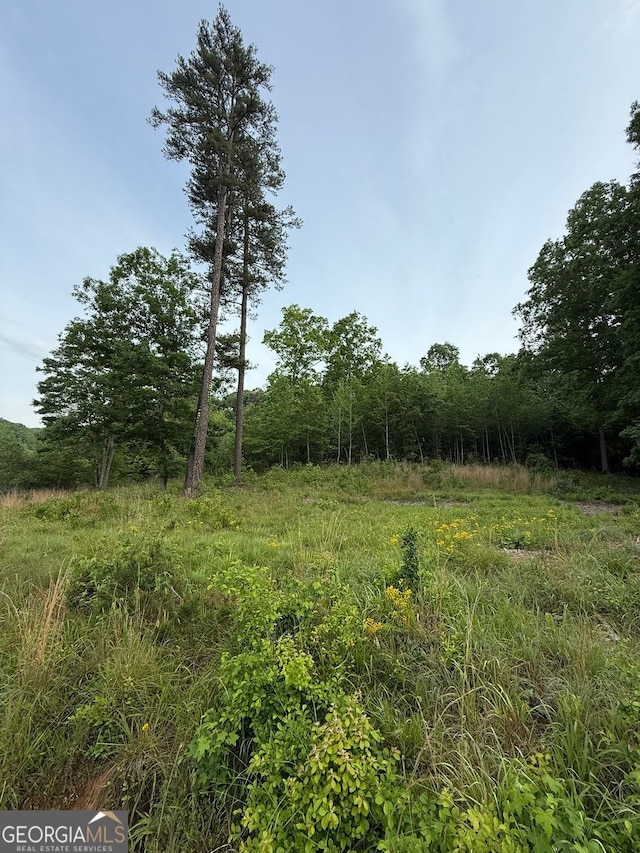 LOT5 Purvis Rd, Baldwin, GA 30511
