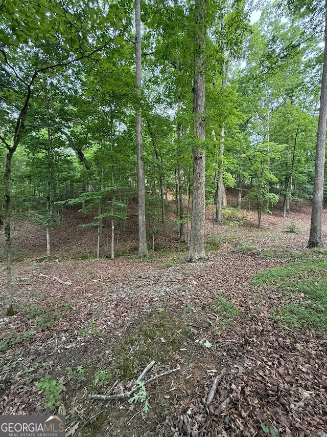 LOT5 Purvis Rd, Baldwin, GA 30511