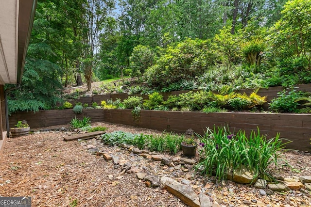 223 Denny Ridge Rd, Jasper, GA 30143 - view of yard with fence