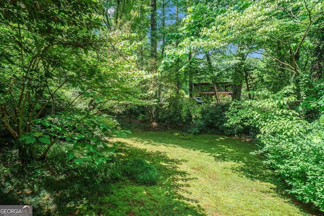 view of green lawn with a wooded view