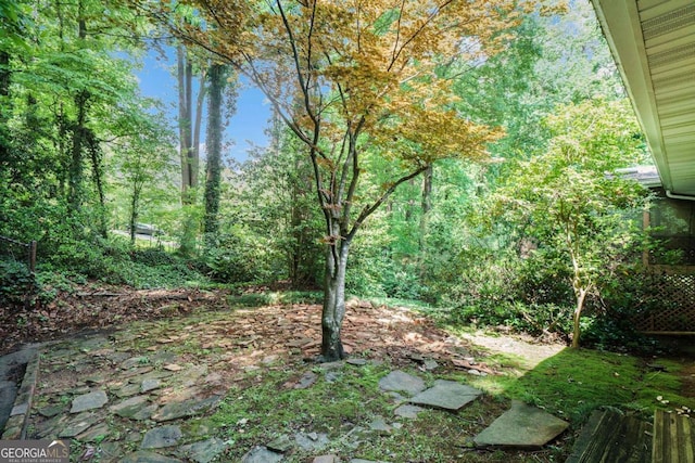 view of yard