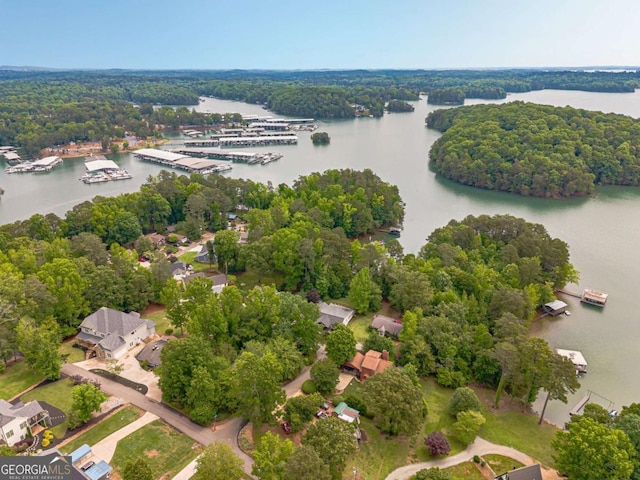 2555 Chattahoochee Ln, Cumming, GA 30041 - bird's eye view of a nearby body of water