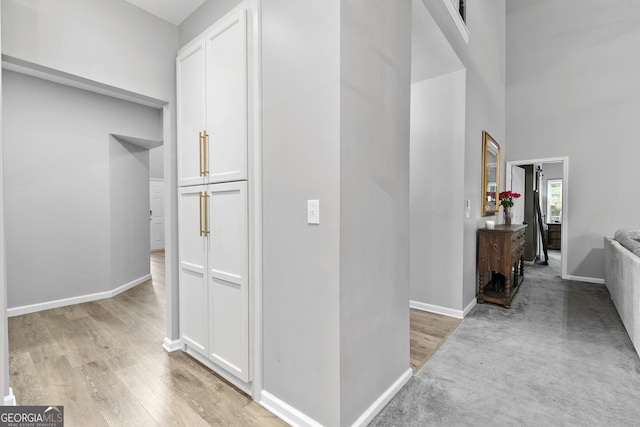 3 Tiffany Trce, Palmetto, GA 30268 - hallway featuring light wood-style floors and a high ceiling