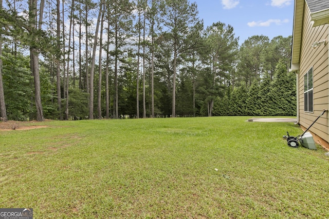 3 Tiffany Trce, Palmetto, GA 30268 - view of green lawn