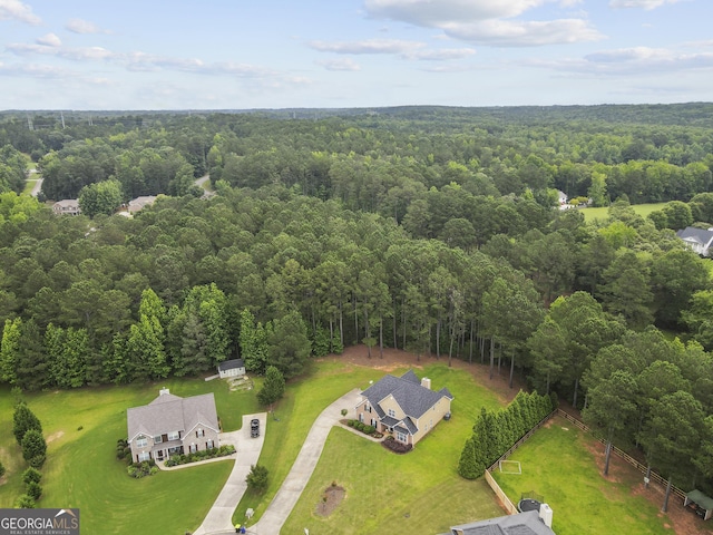 3 Tiffany Trce, Palmetto, GA 30268 - drone / aerial view of a forest