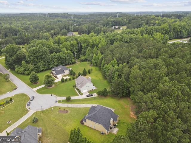 3 Tiffany Trce, Palmetto, GA 30268 - bird's eye view of a forest