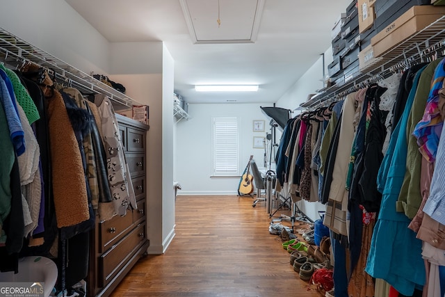 1000 Admiral Xing, Alpharetta, GA 30005 - walk in closet with wood finished floors and attic access