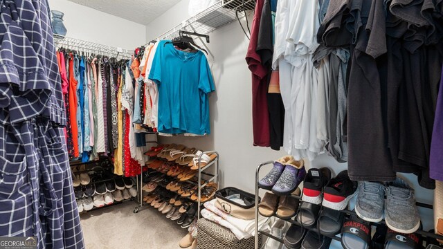 2675 Springside Ct, Douglasville, GA 30135 - spacious closet with carpet floors