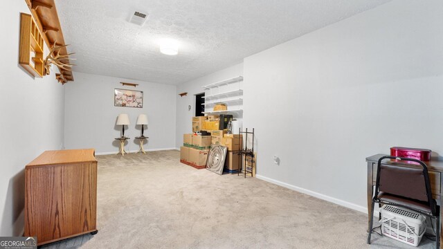 2675 Springside Ct, Douglasville, GA 30135 - miscellaneous room with carpet flooring, a textured ceiling, and baseboards