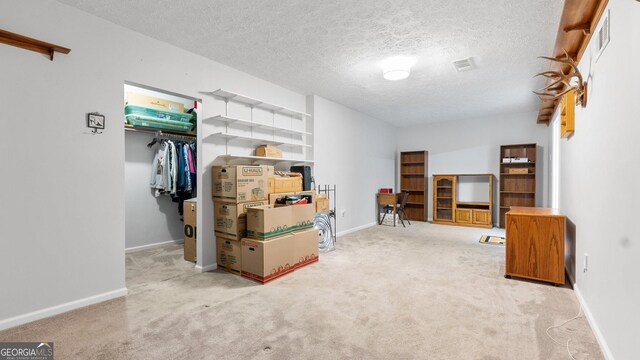 2675 Springside Ct, Douglasville, GA 30135 - below grade area with carpet, baseboards, and a textured ceiling