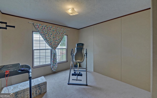 484 Tb Thornton Dr, Hartwell, GA 30643 - exercise room featuring crown molding, carpet, and a textured ceiling