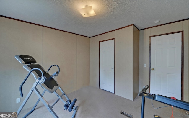 484 Tb Thornton Dr, Hartwell, GA 30643 - workout room featuring ornamental molding, carpet flooring, and a textured ceiling