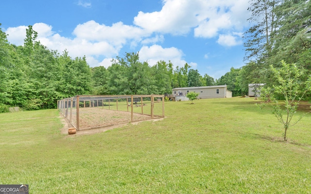 484 Tb Thornton Dr, Hartwell, GA 30643 - view of green lawn featuring a view of trees