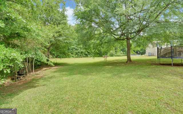 484 Tb Thornton Dr, Hartwell, GA 30643 - view of green lawn featuring a trampoline