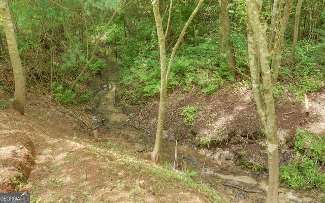 484 Tb Thornton Dr, Hartwell, GA 30643 - view of local wilderness