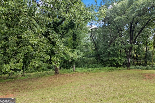 view of grassy yard