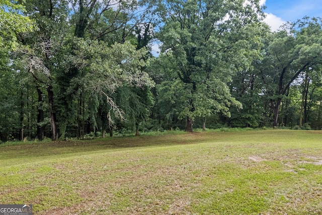 view of green lawn
