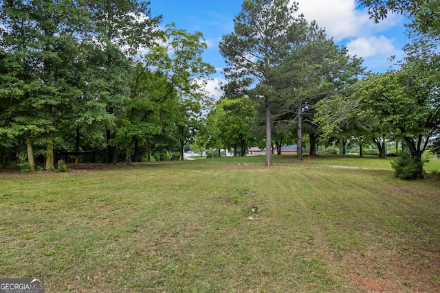 view of green lawn