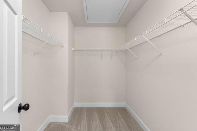 spacious closet with carpet