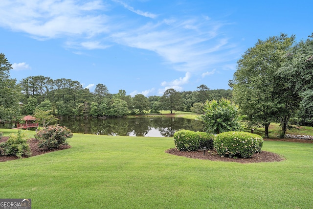 127 Courts Of Hampton, Hampton, GA 30228 - view of green lawn with a water view