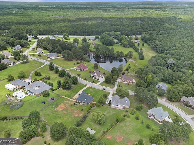 127 Courts Of Hampton, Hampton, GA 30228 - view of property location with a heavily wooded area and a large body of water