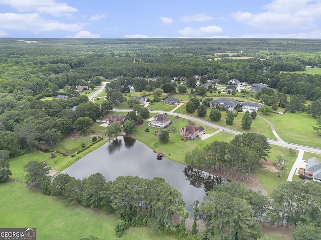 127 Courts Of Hampton, Hampton, GA 30228 - aerial view of property's location featuring a nearby body of water and a forest