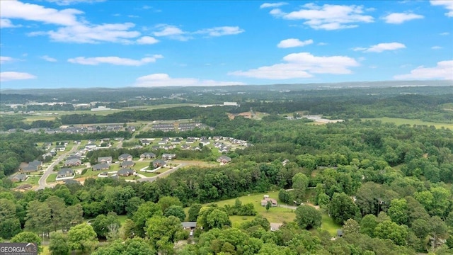 bird's eye view of a forest