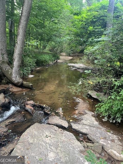 1221 Martin Nash Rd SW, Lilburn, GA 30047 - view of woods