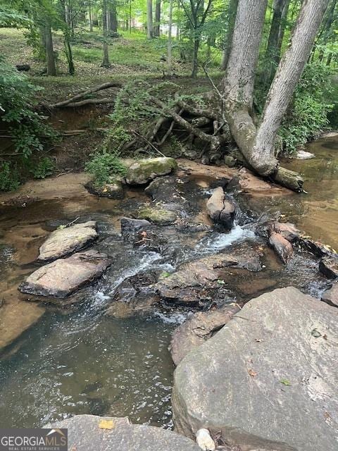 1221 Martin Nash Rd SW, Lilburn, GA 30047 - view of undeveloped land