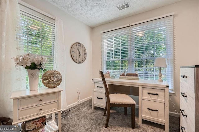 carpeted home office featuring baseboards, healthy amount of natural light, and a textured ceiling
