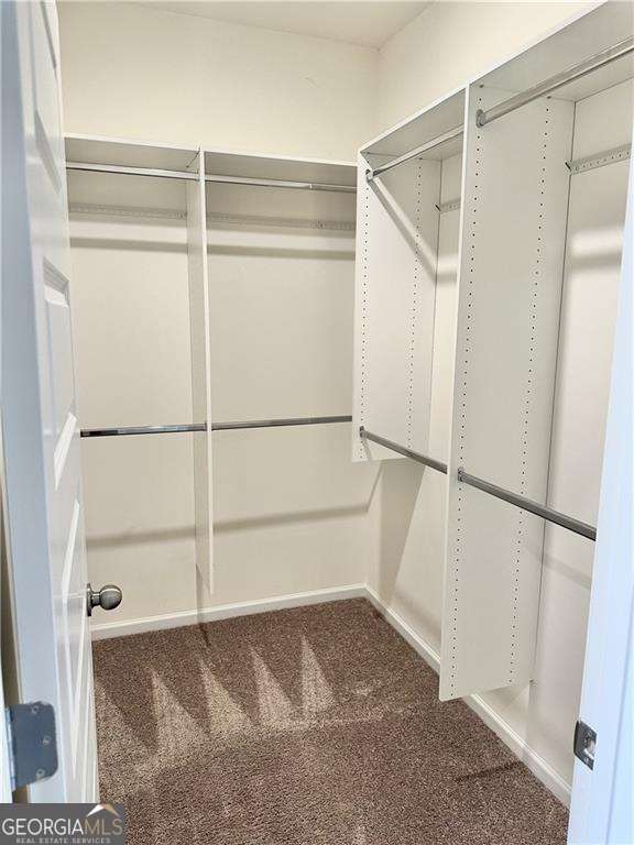 spacious closet with carpet floors