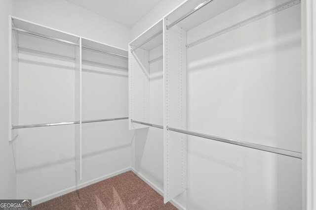 235 Centennial Cir, Canton, GA 30114 - walk in closet with carpet