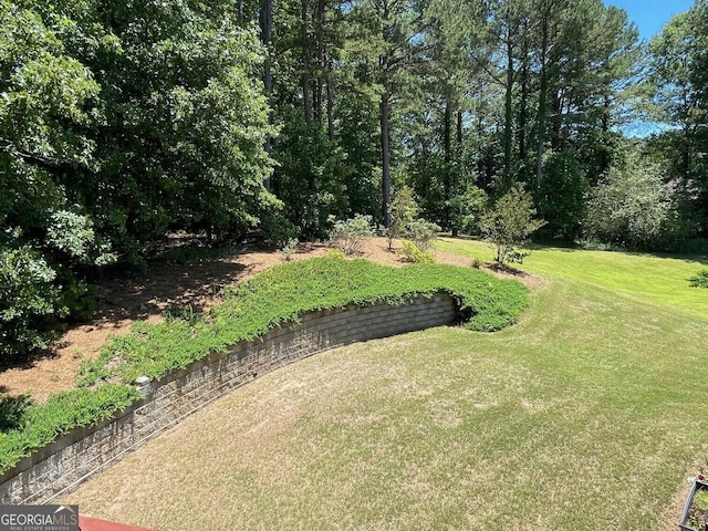 397 E Sycamore Dr, Winder, GA 30680 - view of green lawn
