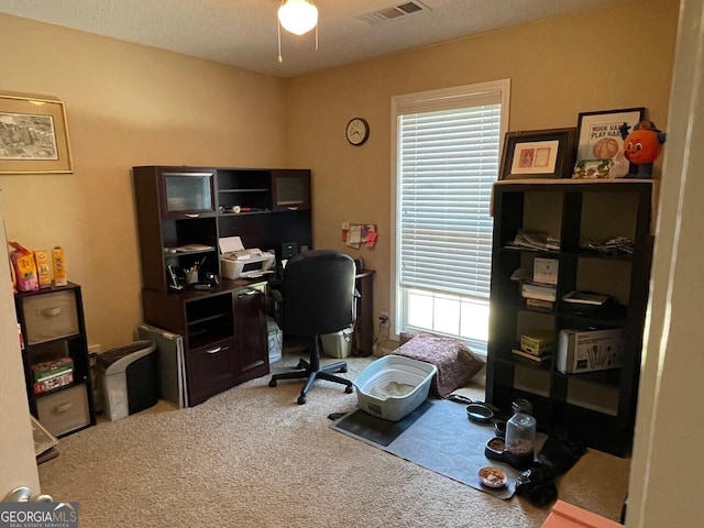397 E Sycamore Dr, Winder, GA 30680 - office area with carpet and ceiling fan