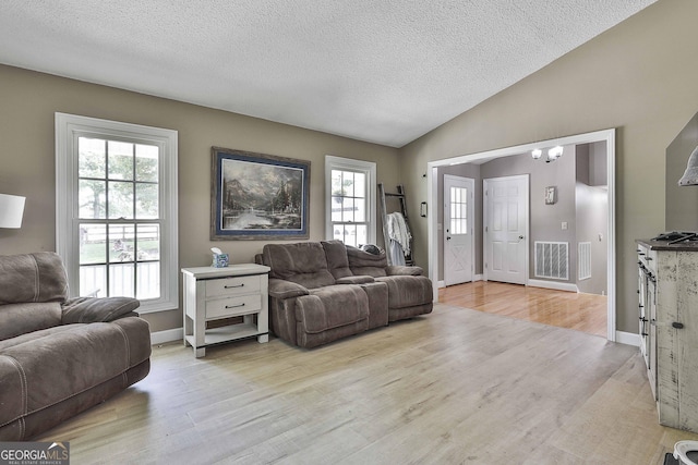 109 Cannon Rd, Sharpsburg, GA 30277 - living area featuring light wood-style floors, plenty of natural light, a textured ceiling, lofted ceiling, and baseboards