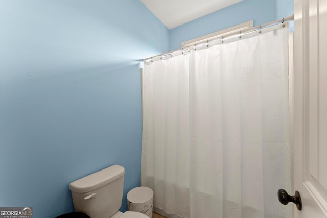1050 Double Branches Ln, Dallas, GA 30132 - bathroom with toilet and curtained shower