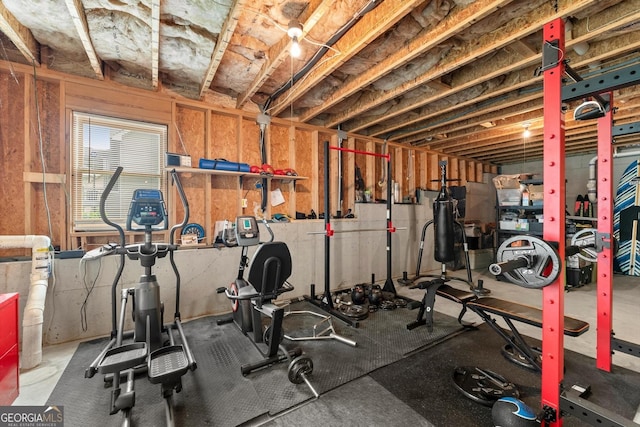1050 Double Branches Ln, Dallas, GA 30132 - view of exercise area