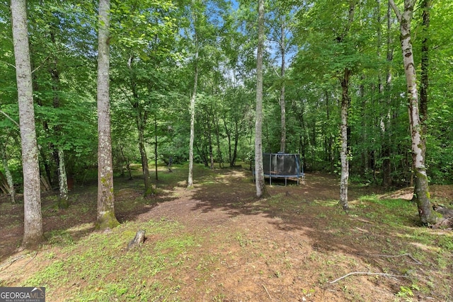 1050 Double Branches Ln, Dallas, GA 30132 - view of yard featuring a trampoline