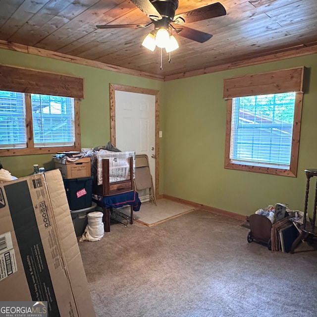 77 Hollow Log Path, Cleveland, GA 30528 - interior space with plenty of natural light, carpet, wooden ceiling, ceiling fan, and baseboards