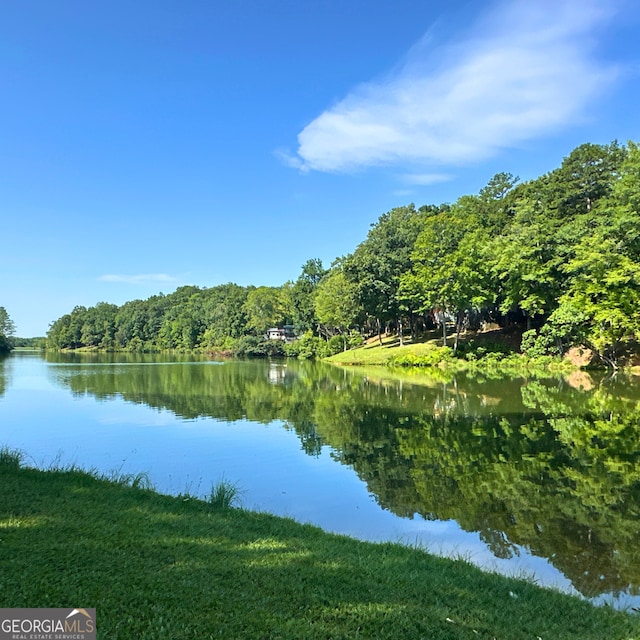 77 Hollow Log Path, Cleveland, GA 30528 - water view with a heavily wooded area