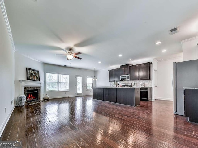 631 Naturewalk Blvd, Dallas, GA 30132 - kitchen with a high end fireplace, stainless steel appliances, a ceiling fan, open floor plan, and dark wood-style floors