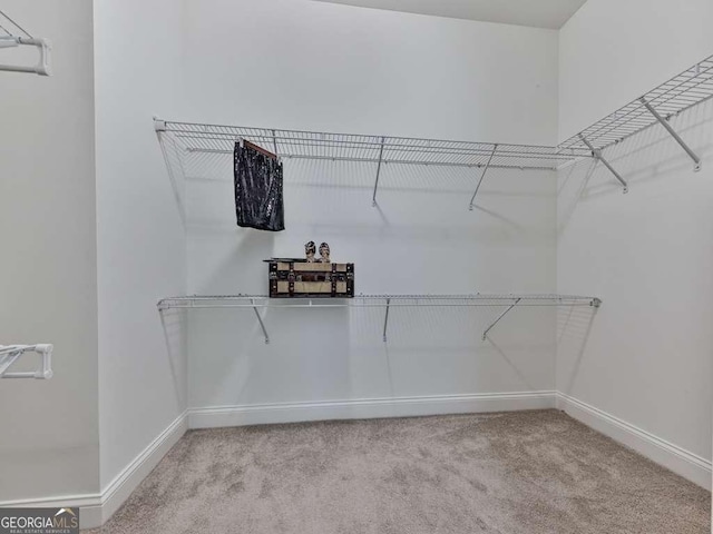 631 Naturewalk Blvd, Dallas, GA 30132 - spacious closet with carpet flooring