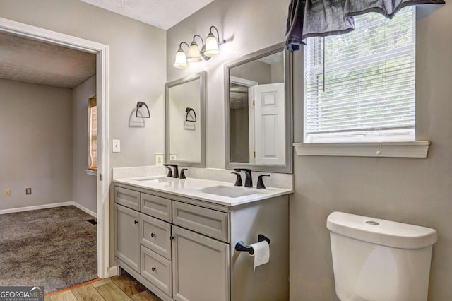 bathroom featuring toilet, double vanity, baseboards, a textured ceiling, and wood finished floors