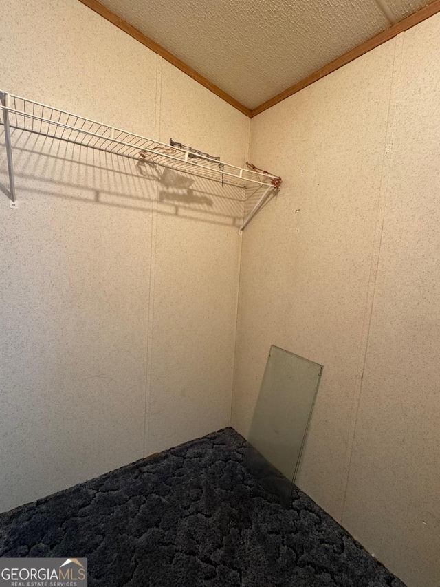 57 Pleasant Ln, Comer, GA 30629 - walk in closet featuring carpet