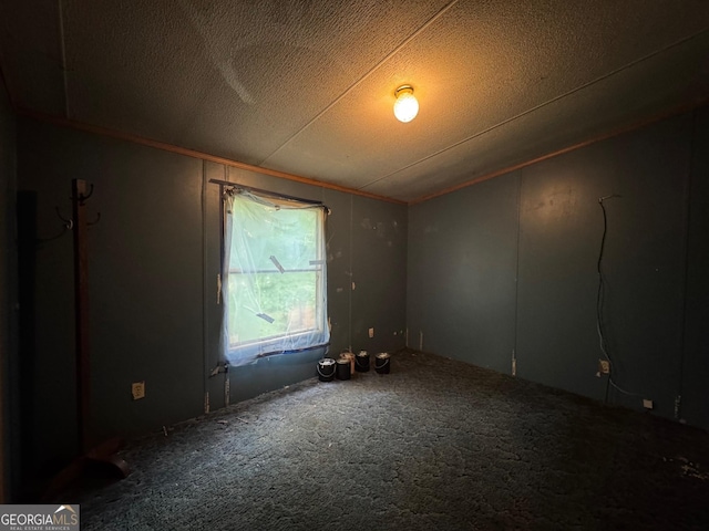 57 Pleasant Ln, Comer, GA 30629 - carpeted spare room featuring vaulted ceiling and a textured ceiling