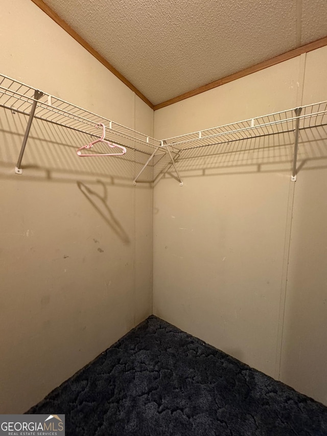 57 Pleasant Ln, Comer, GA 30629 - spacious closet featuring carpet