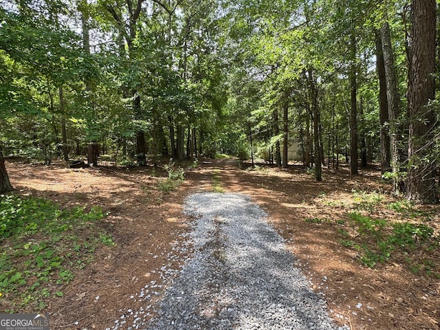 57 Pleasant Ln, Comer, GA 30629 - view of dirt / gravel road featuring a view of trees