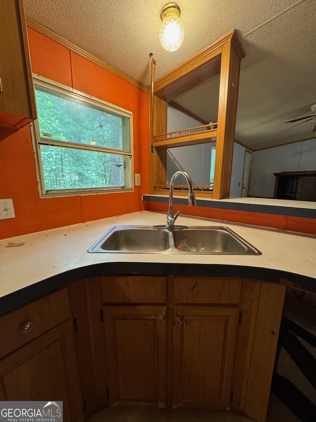 57 Pleasant Ln, Comer, GA 30629 - kitchen with a sink, a textured ceiling, and lofted ceiling